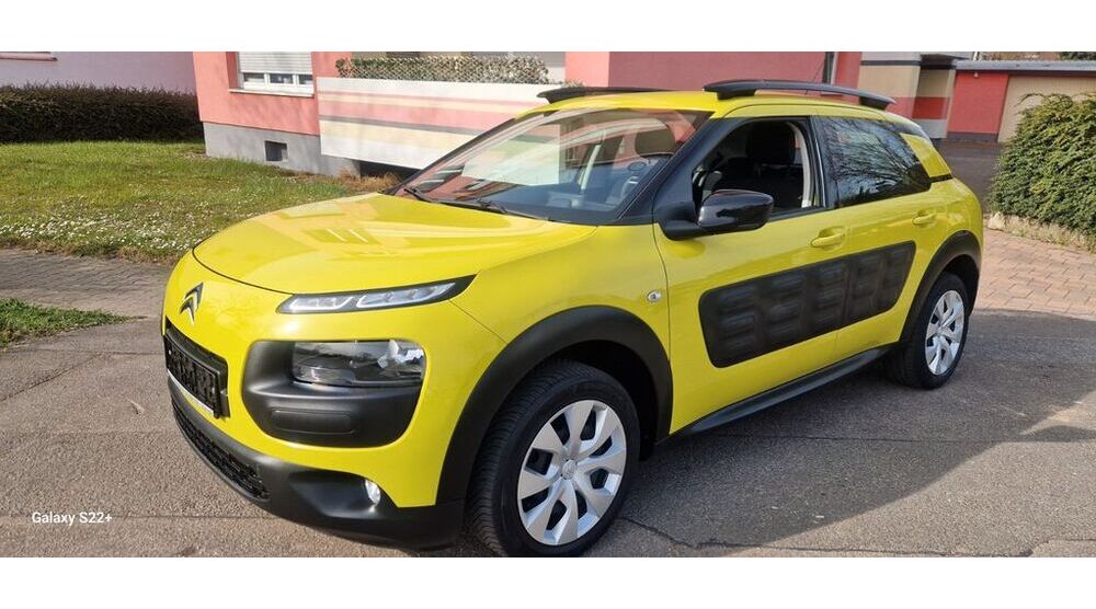 C4 Cactus