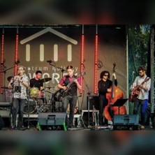 Mr. Lonely 31.01.2026 Jazzhaus Heidelberg