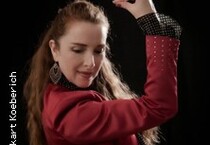 Flamenco Pasión - Silke Beck y Compañeros