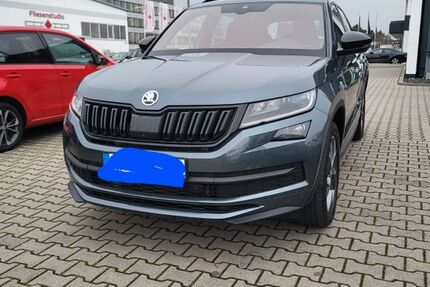 Skoda Kodiaq 125.000 km 31.800 &euro; Brühl 68782