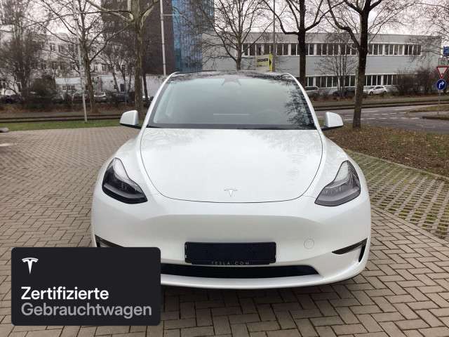 Model Y