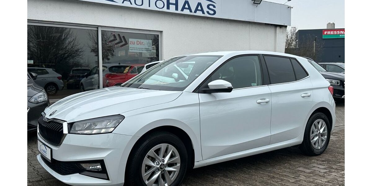 Skoda Fabia 19.600 km 18.990 &euro; Viernheim 68519