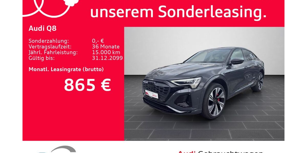 Audi Q8 57.817 km 51.500 &euro; Ludwigshafen 67063