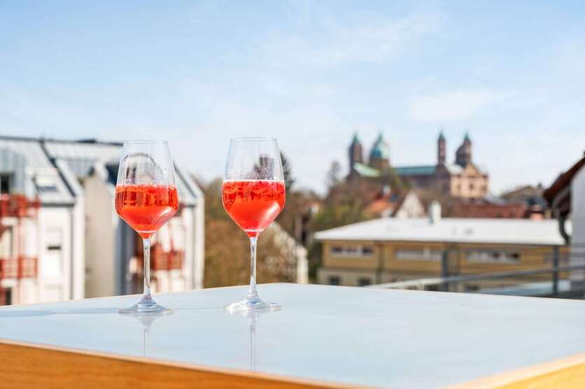 Wohnung zum Kaufen in Speyer 1.250.000 € 185 m²