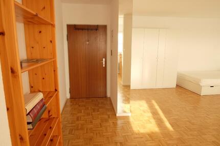 Wohnung Limburgerhof - 1.5 Zimmer, 50 m&sup2;, 500&euro; | Angebot:25349797