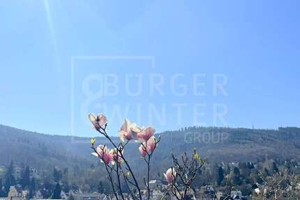 Wohnung Heidelberg Peterstal - 2 Zimmer, 157 m&sup2;, 460.000&euro; | Angebot:24524566