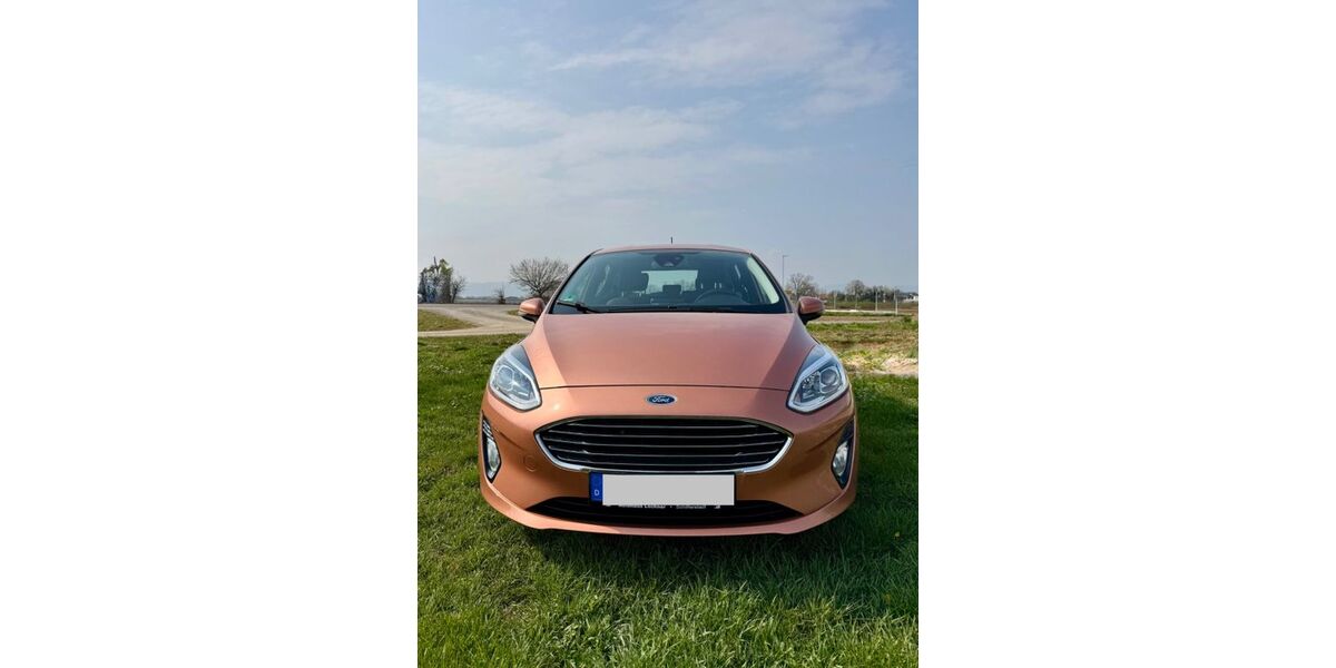 Ford Fiesta 100.605 km 8.890 &euro; Böhl-Iggelheim 67459