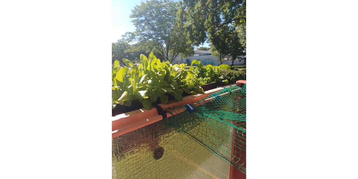 2 Zi.- Wohnung, mit neuer Küche ,vollmöbliert. Einziehen, fertig! 2 zimmer