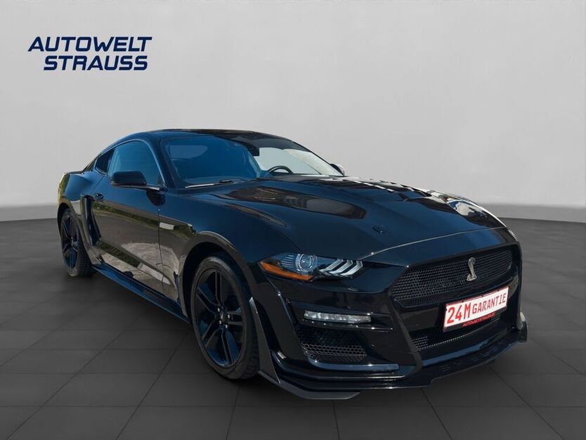 Mustang