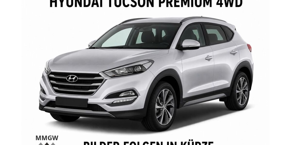 Hyundai TUCSON 168.300 km 14.990 &euro; Bensheim 64625