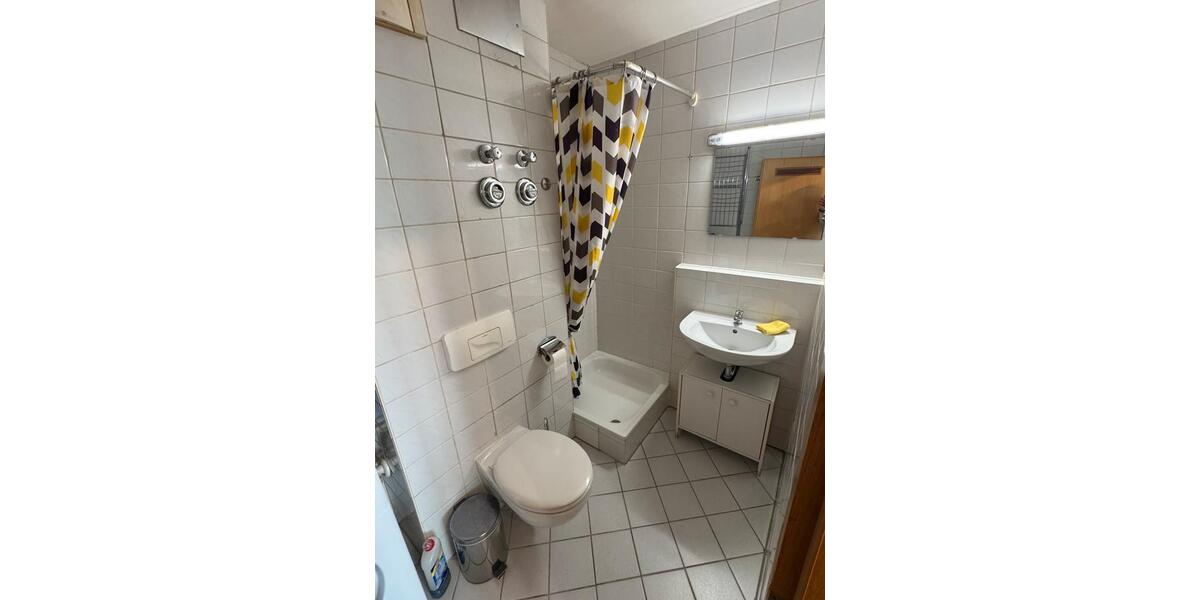 Dachgeschoßwohnung Ludwigshafen am Rhein Edigheim - 1 Zimmer, 33 m&sup2;, 570&euro; | Angebot:26224948