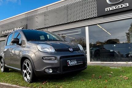 Fiat Panda 38.625 km 11.890 &euro; Neustadt 67433
