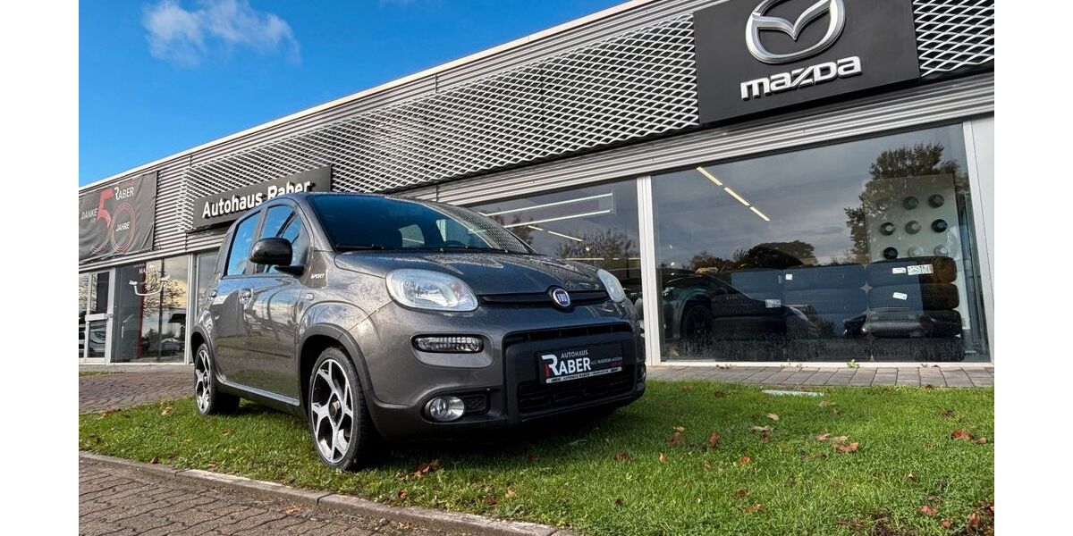 Fiat Panda 38.625 km 11.890 &euro; Neustadt 67433