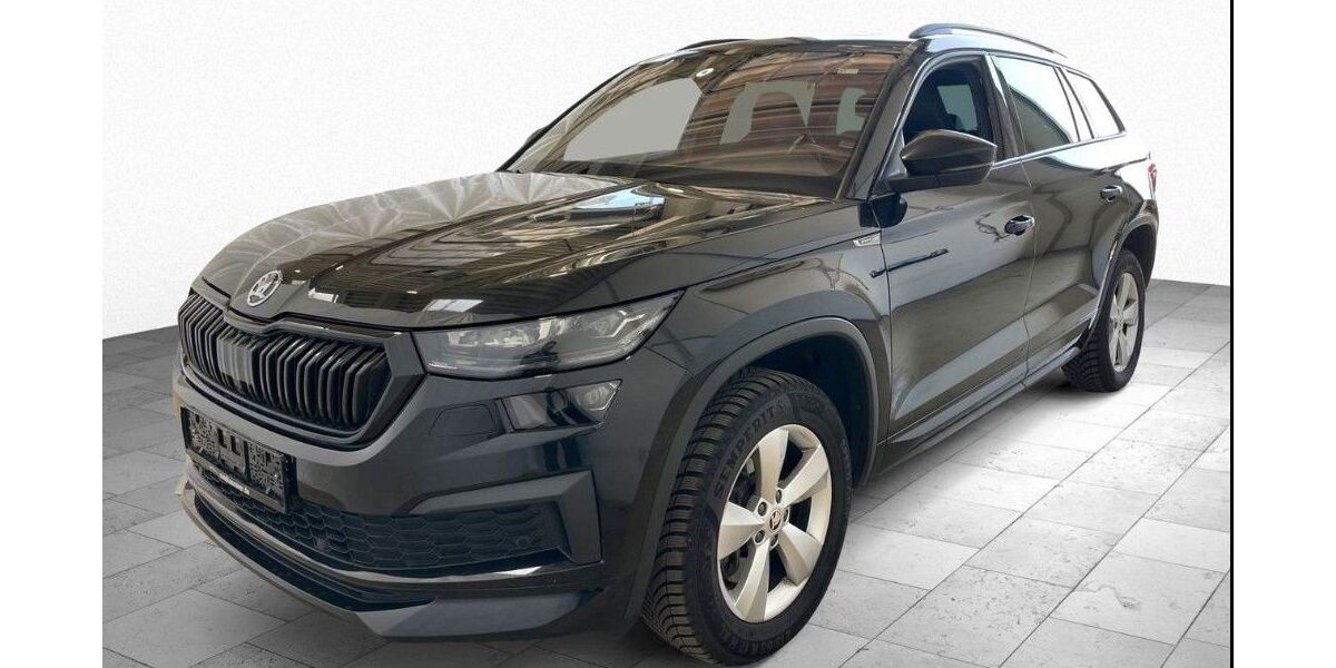 Skoda Kodiaq 150.000 km 31.297 &euro; Weinheim 69469