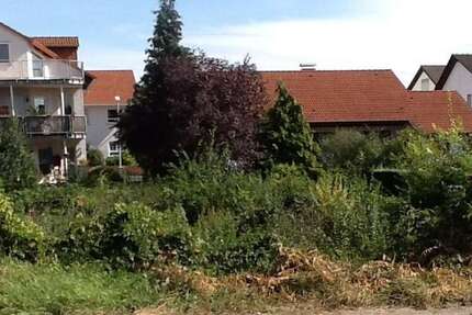 Grundstück Gernsheim - 598.000&euro; | Angebot:25274035