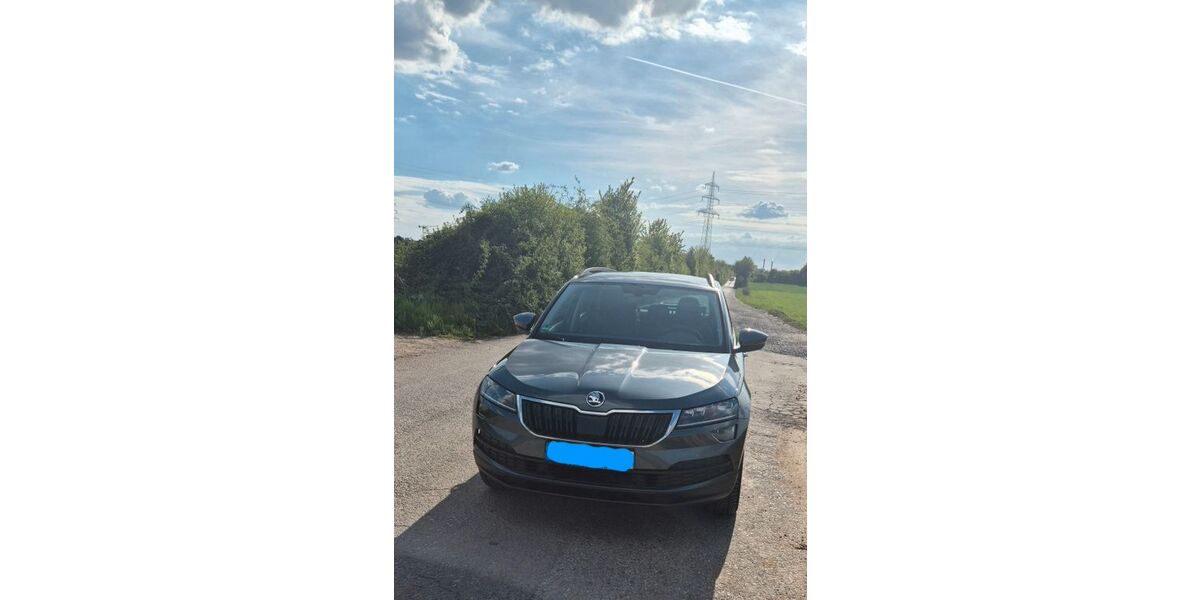 Skoda Karoq 82.000 km 18.099 &euro; Ladenburg 68526