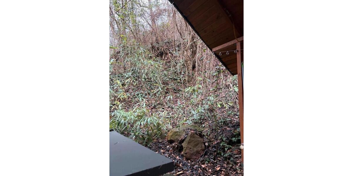 Terrassenwohnung Bad Dürkheim - 1 Zimmer, 33 m&sup2;, 560&euro; | Angebot:25614875