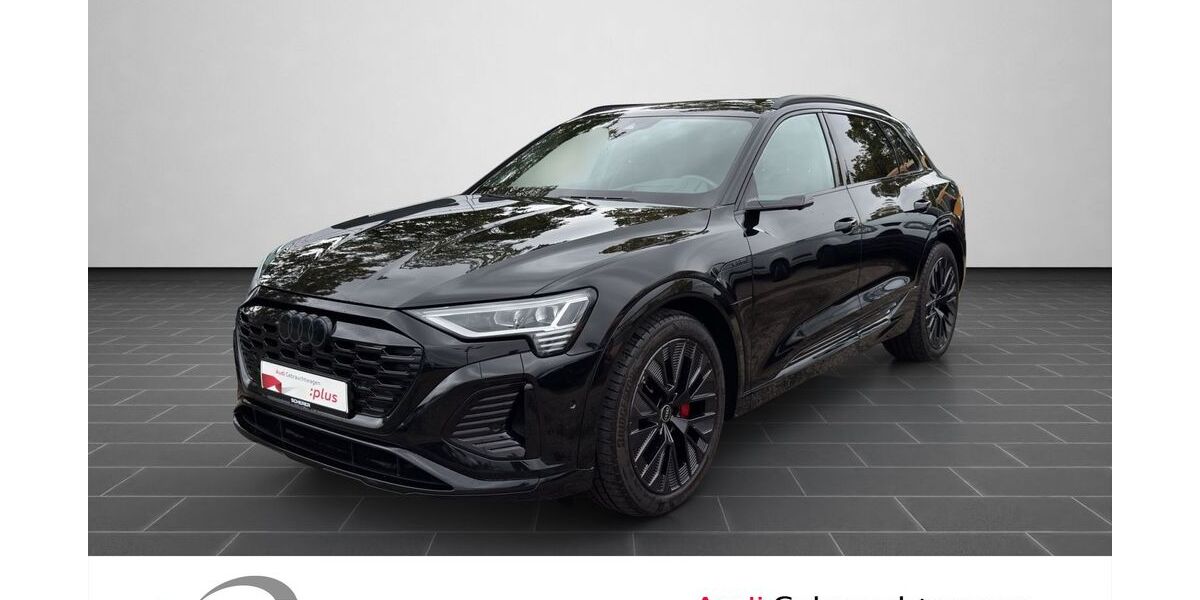 Audi Q8 e-tron 51.291 km 52.900 &euro; Ludwigshafen 67063