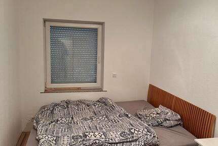 2 Zimmer Wohnung in Grünstadt - frisch renoviert + Klimaanlage zimmer