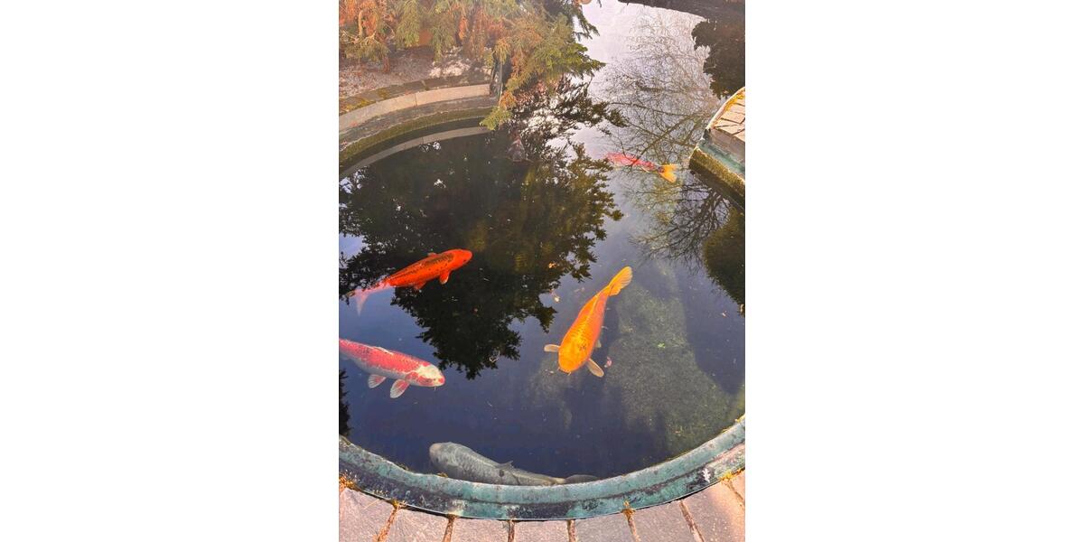 Einfamilienhaus Lampertheim - 3 Zimmer, 150 m&sup2;, 1.000.000&euro; | Angebot:25118113