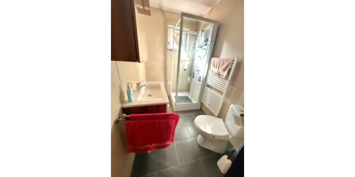 Reihenmittelhaus Ludwigshafen am Rhein Oppau - 4 Zimmer, 92 m&sup2;, 215.000&euro; | Angebot:26142893