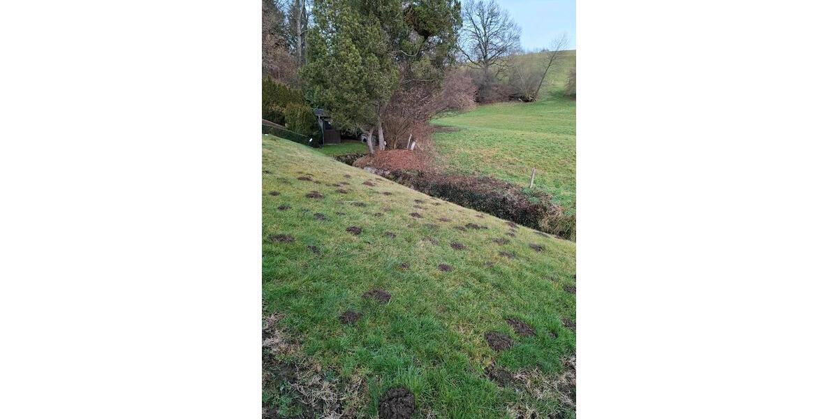 Einfamilienhaus Mörlenbach - 7 Zimmer, 140 m&sup2;, 550.000&euro; | Angebot:24786358