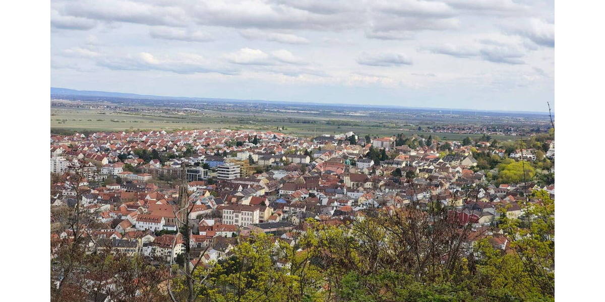 Terrassenwohnung Bad Dürkheim - 4 Zimmer, 128 m&sup2;, 522.000&euro; | Angebot:26117615