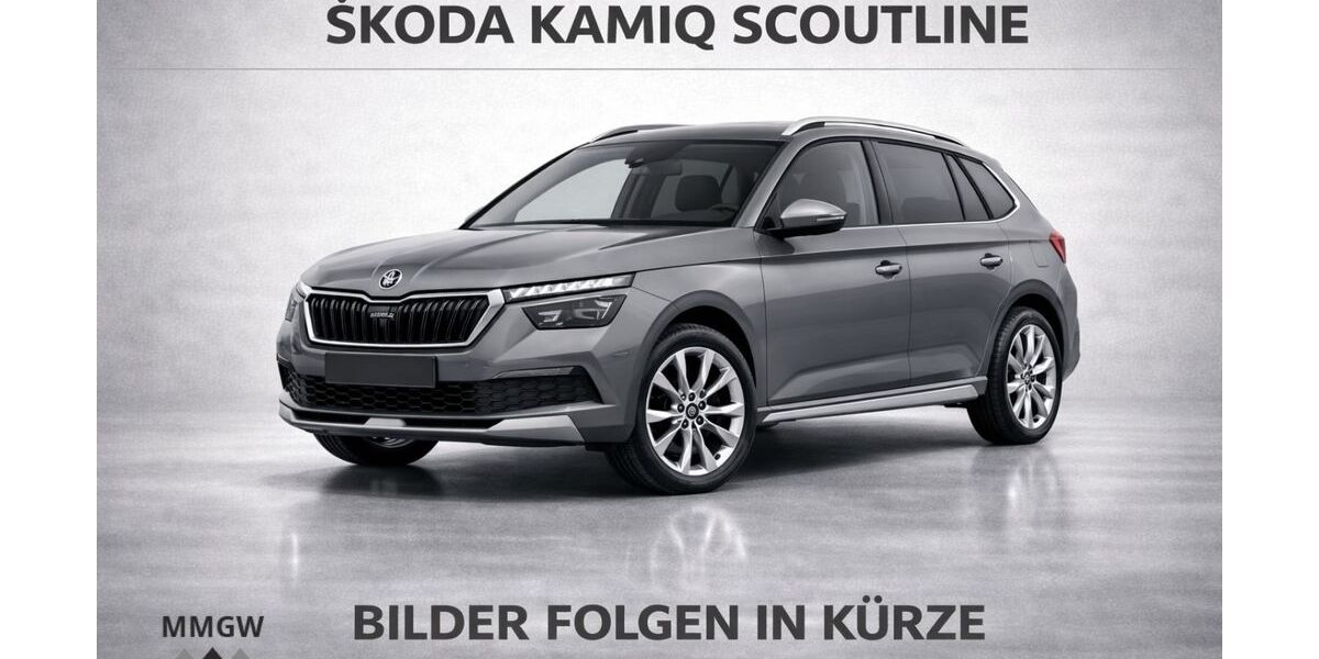 Skoda Kamiq 77.925 km 18.490 &euro; Bensheim 64625