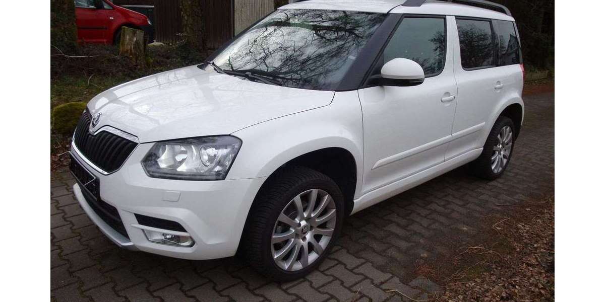 Skoda Yeti 21.900 km 15.799 &euro; Lorsch 64653