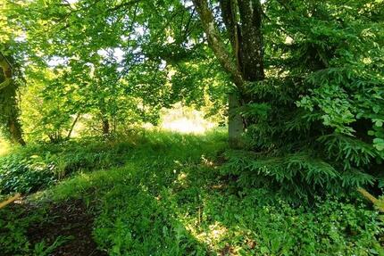 Haus Wald-Michelbach Michelbach - 1 Zimmer, 111 m&sup2;, 135.000&euro; | Angebot:26223164