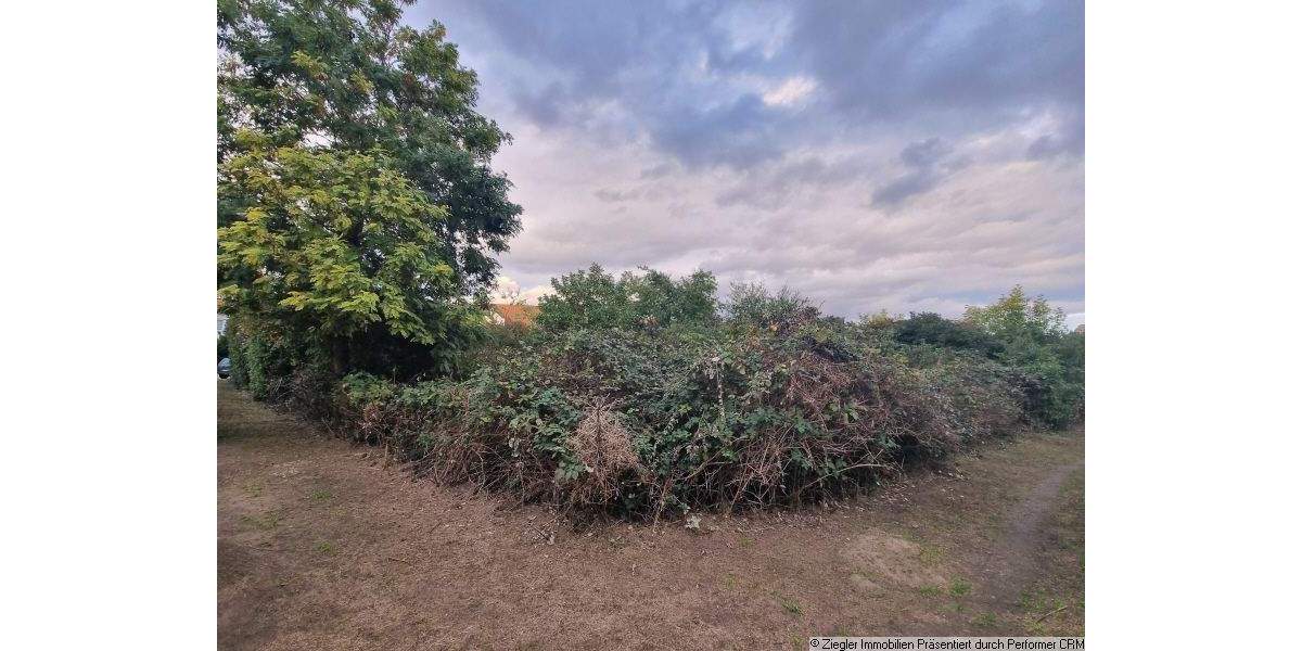 Bauplatz in sehr beliebter Wohnlage von MA-Seckenheim - 0-4004 zimmer