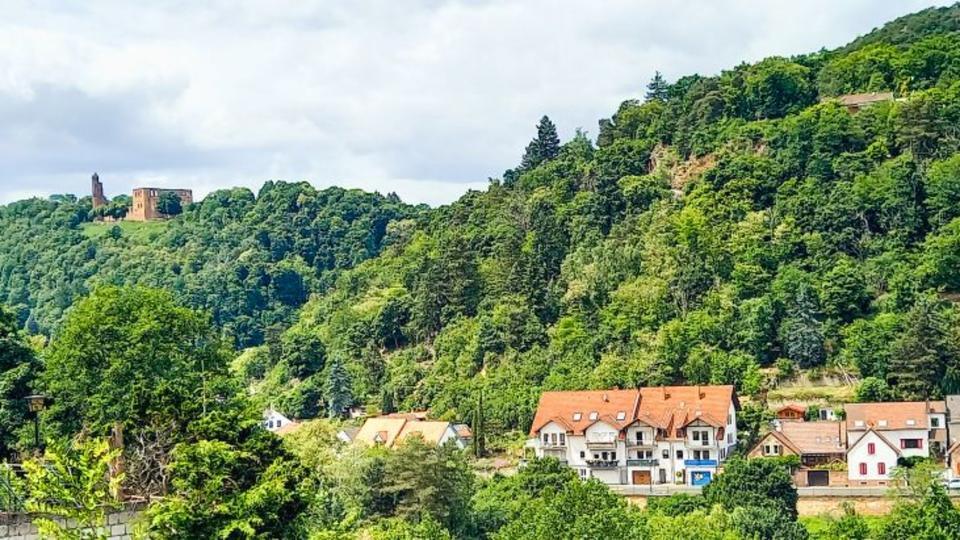 Familienfreundliches Reiheneckhaus in idyllischer Waldrandlage