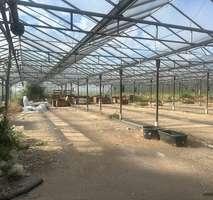 Einfamilienhaus Ludwigshafen am Rhein Ludwigshafen-Oggersheim - 8 Zimmer, 220 m&sup2;, 620.000&euro; | Angebot:26283491