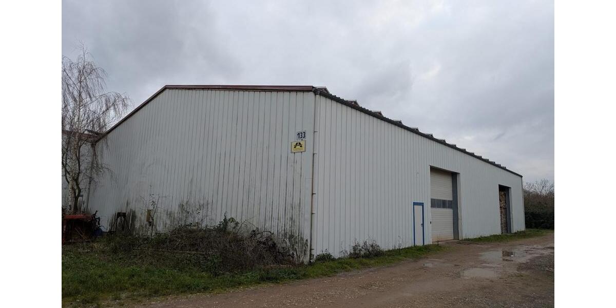 Gewerbeobjekt Worms Vororte Südwest - 2.950&euro; | Angebot:25950606