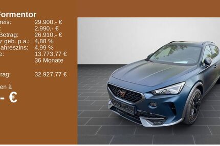 Cupra Formentor 62.198 km 29.900 &euro; Ladenburg 68526