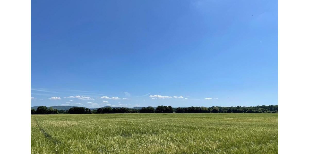 Einfamilienhaus Lampertheim - 7 Zimmer, 170 m&sup2;, 820.000&euro; | Angebot:26578039