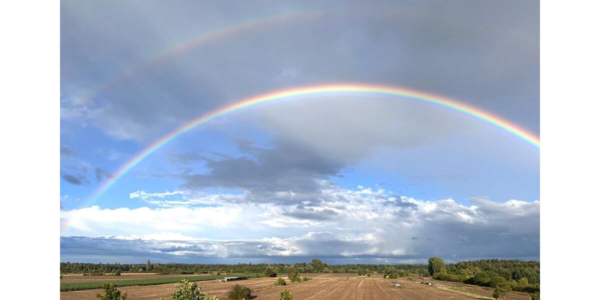 Mehrfamilienhaus, Wohnhaus Waghäusel - 4 Zimmer, 138 m&sup2;, 479.000&euro; | Angebot:26021553