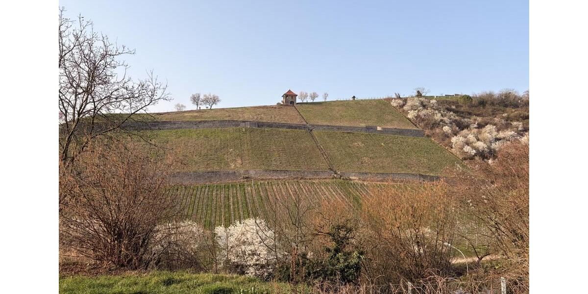 Terrassenwohnung Heppenheim (Bergstraße) - 3 Zimmer, 101 m&sup2;, 1.700&euro; | Angebot:25569043