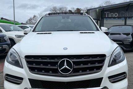 Mercedes-Benz ML 350 309.000 km 15.999 &euro; schifferstadt 67105