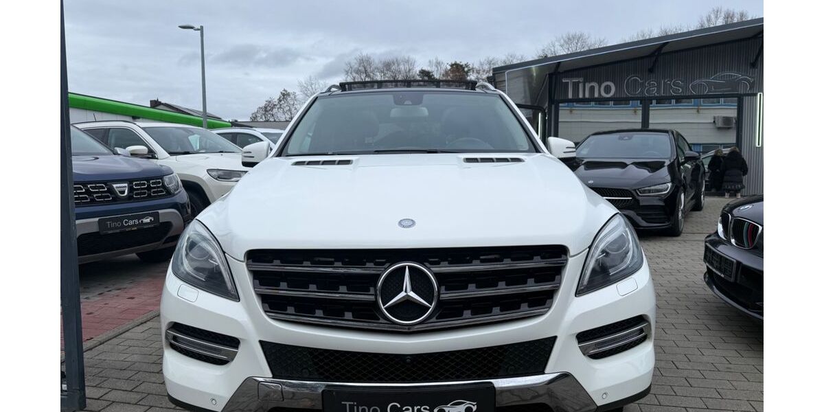 Mercedes-Benz ML 350 309.000 km 15.999 &euro; schifferstadt 67105