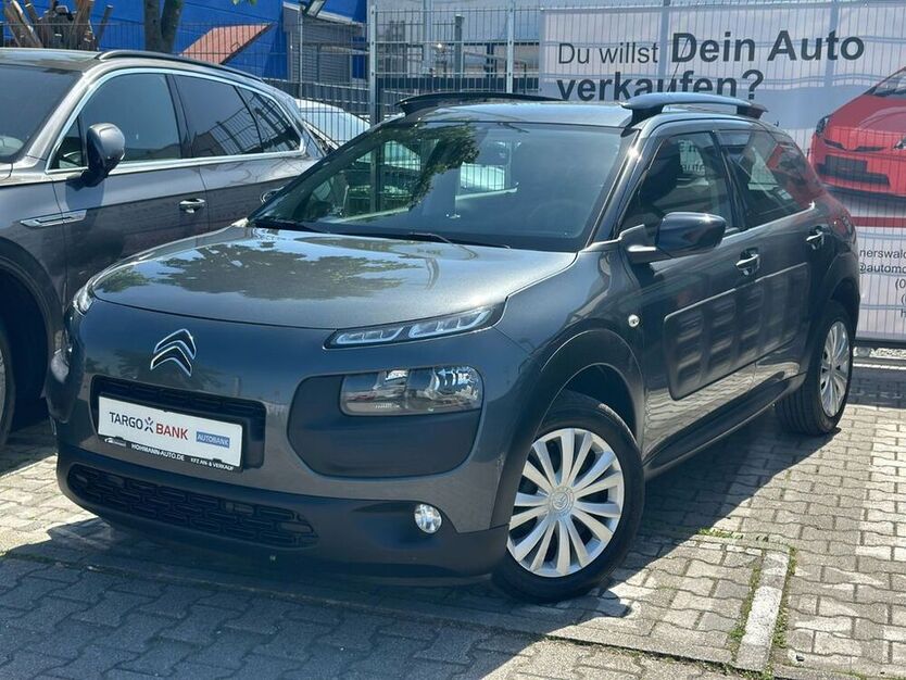 C4 Cactus