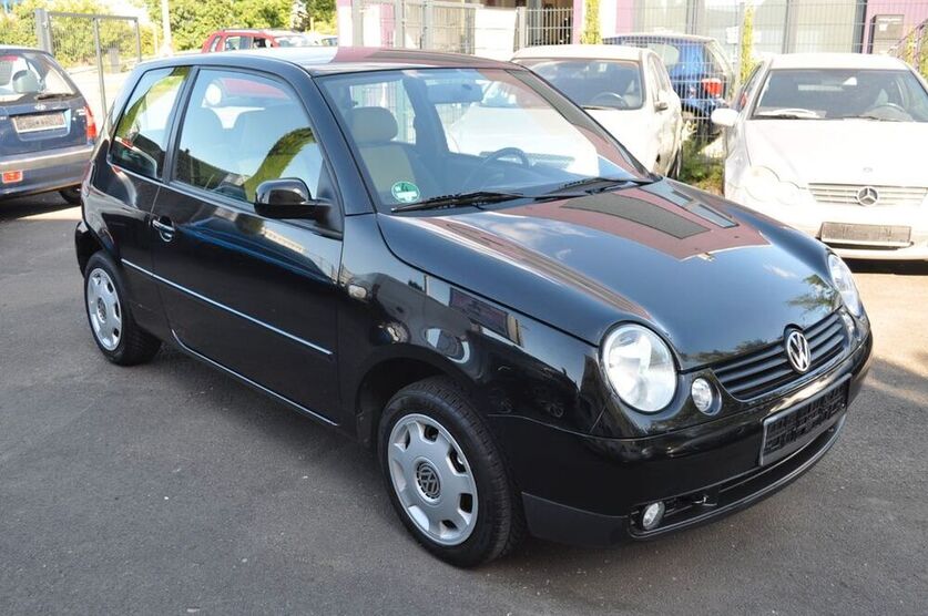 Lupo