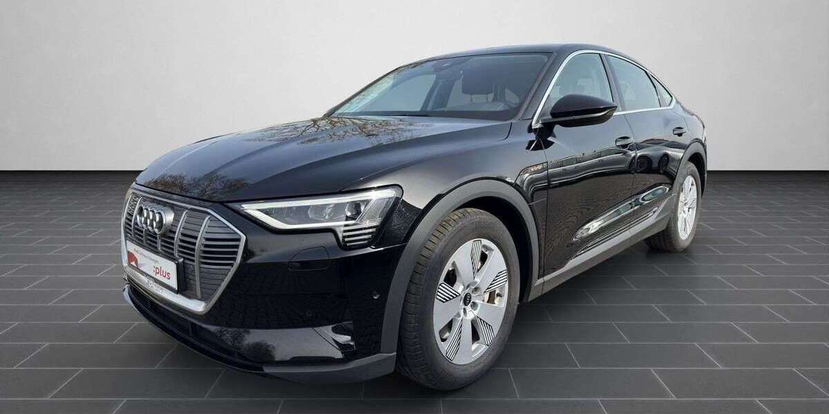 Audi e-tron 40.992 km 26.900 &euro; Ludwigshafen 67063