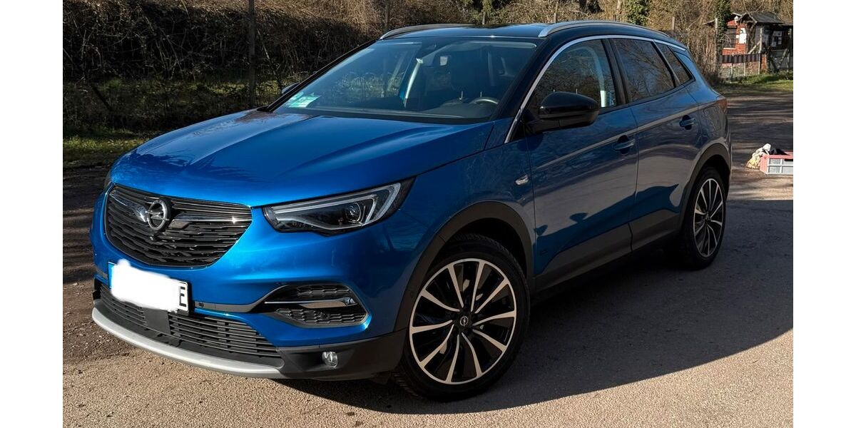 Opel Grandland (X) 44.000 km 22.900 &euro; Speyer 67346