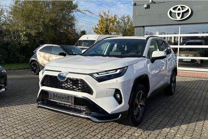 Toyota RAV 4 3.050 km 55.950 &euro; Wiesloch 69168