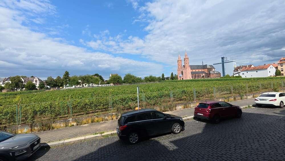 Haus zum Kaufen in Worms 1.499.900 € 685 m² 28 zimmer