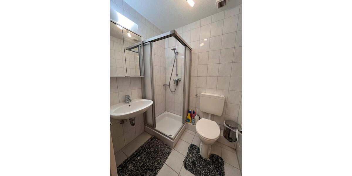 Dachgeschoßwohnung Mannheim Neckarstadt-Ost - 2 Zimmer, 37 m&sup2;, 830&euro; | Angebot:24464060