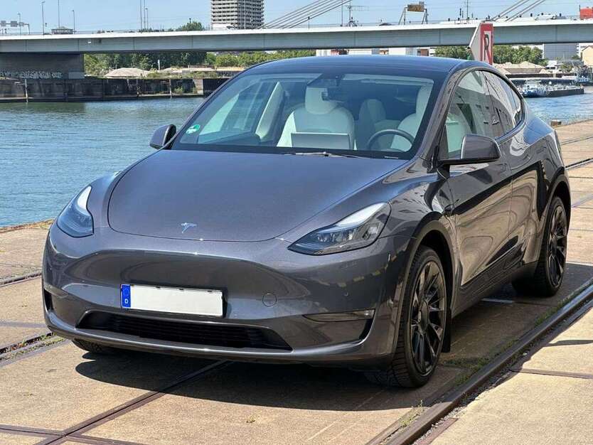Model Y