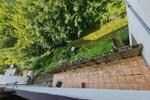 Einfamilienhaus Neckargemünd - 10 Zimmer, 143 m&sup2;, 259.000&euro; | Angebot:26493576