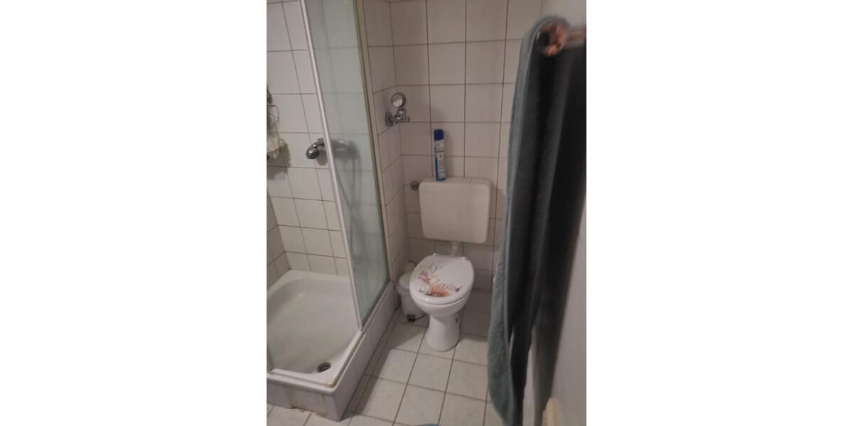 Etagenwohnung Ludwigshafen am Rhein Ludwigshafen-Hemshof - 1 Zimmer, 44 m&sup2;, 510&euro; | Angebot:25375941